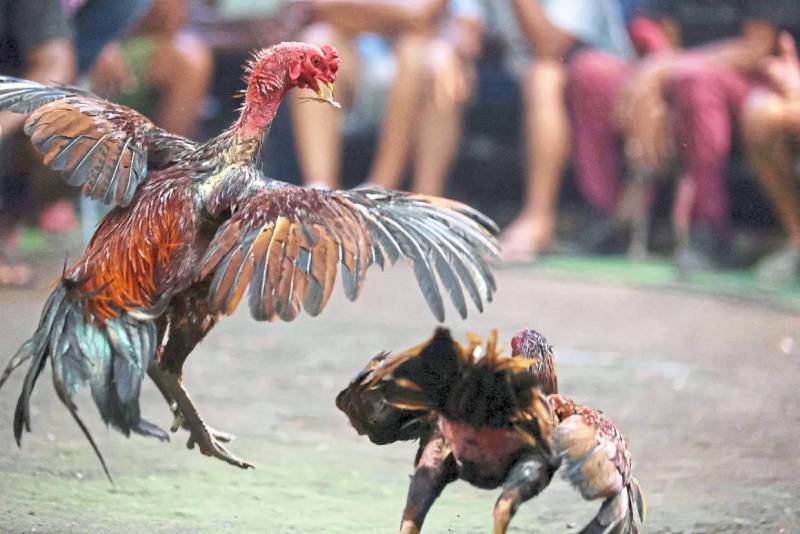 Áp dụng chiến thuật hợp lý