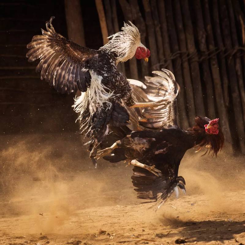 Kết thúc trận đấu